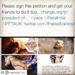 Bhumi Pednekar Instagram - #repost . this is so barbaric and monstrous..does religion and tradition give you the right to torture and brutally kill other creations of God.where does humanity go now..it's time this stops. #stopyulin2015 ・・・ Over 10,000 dogs are killed every year in China - they are robbed and snatched and killed. Screw you China! Hope all you people rot in hell #painful Sign this #petition 😭😭 #dogloverforlife #yulinfestival #china #monsters