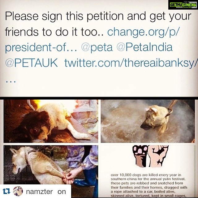 Bhumi Pednekar Instagram - #repost . this is so barbaric and monstrous..does religion and tradition give you the right to torture and brutally kill other creations of God.where does humanity go now..it's time this stops. #stopyulin2015 γ»γ»γ» Over 10,000 dogs are killed every year in China - they are robbed and snatched and killed. Screw you China! Hope all you people rot in hell #painful Sign this #petition ππ #dogloverforlife #yulinfestival #china #monsters
