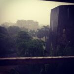 Bhumi Pednekar Instagram - Its raining its pouring