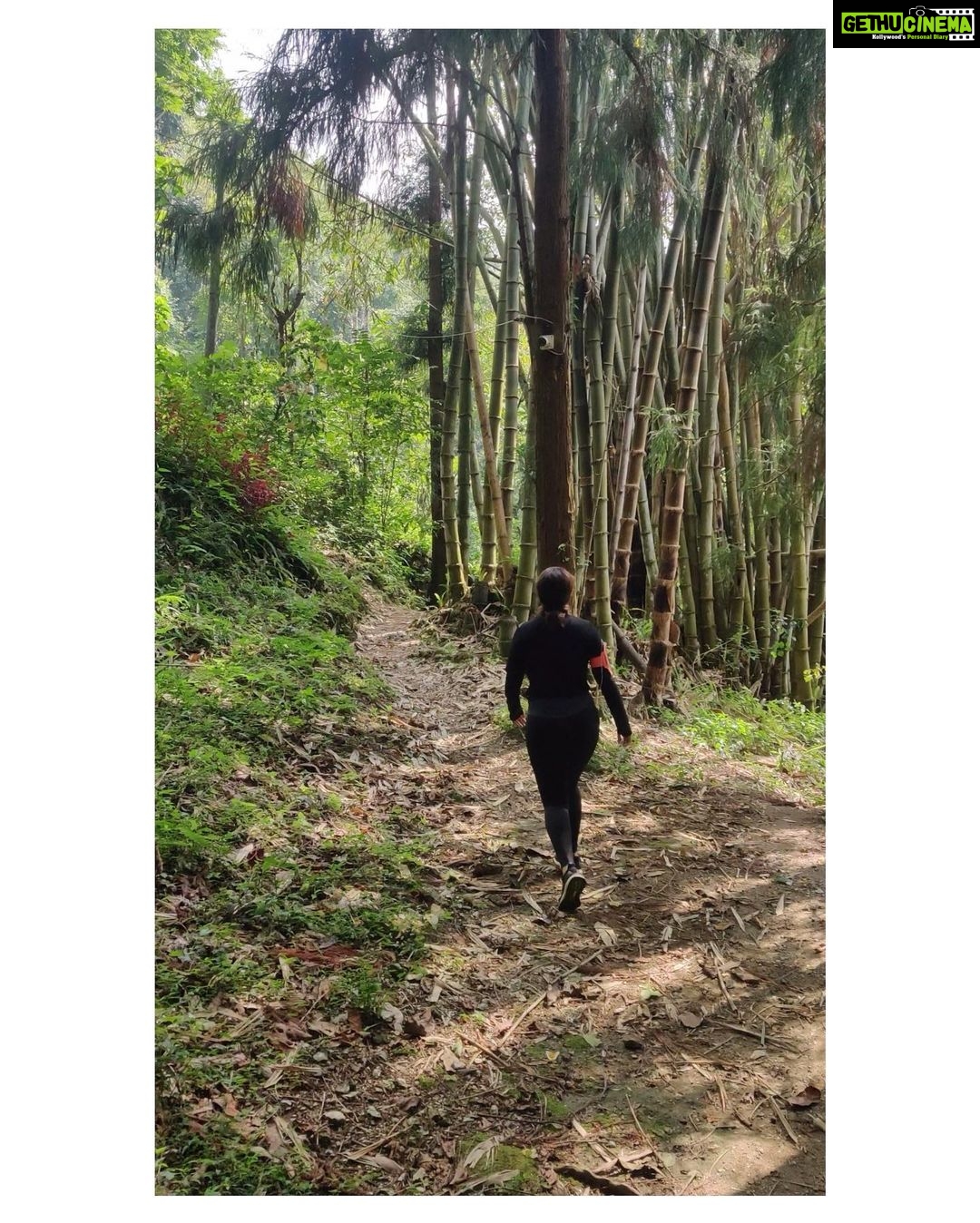 Bhumi Pednekar Instagram - Sharing a dump of pictures that explains my tryst with nature 🌱 Keep scrolling... #ClimateWarrior #GenerationRestoration #WorldEnviornmentDay