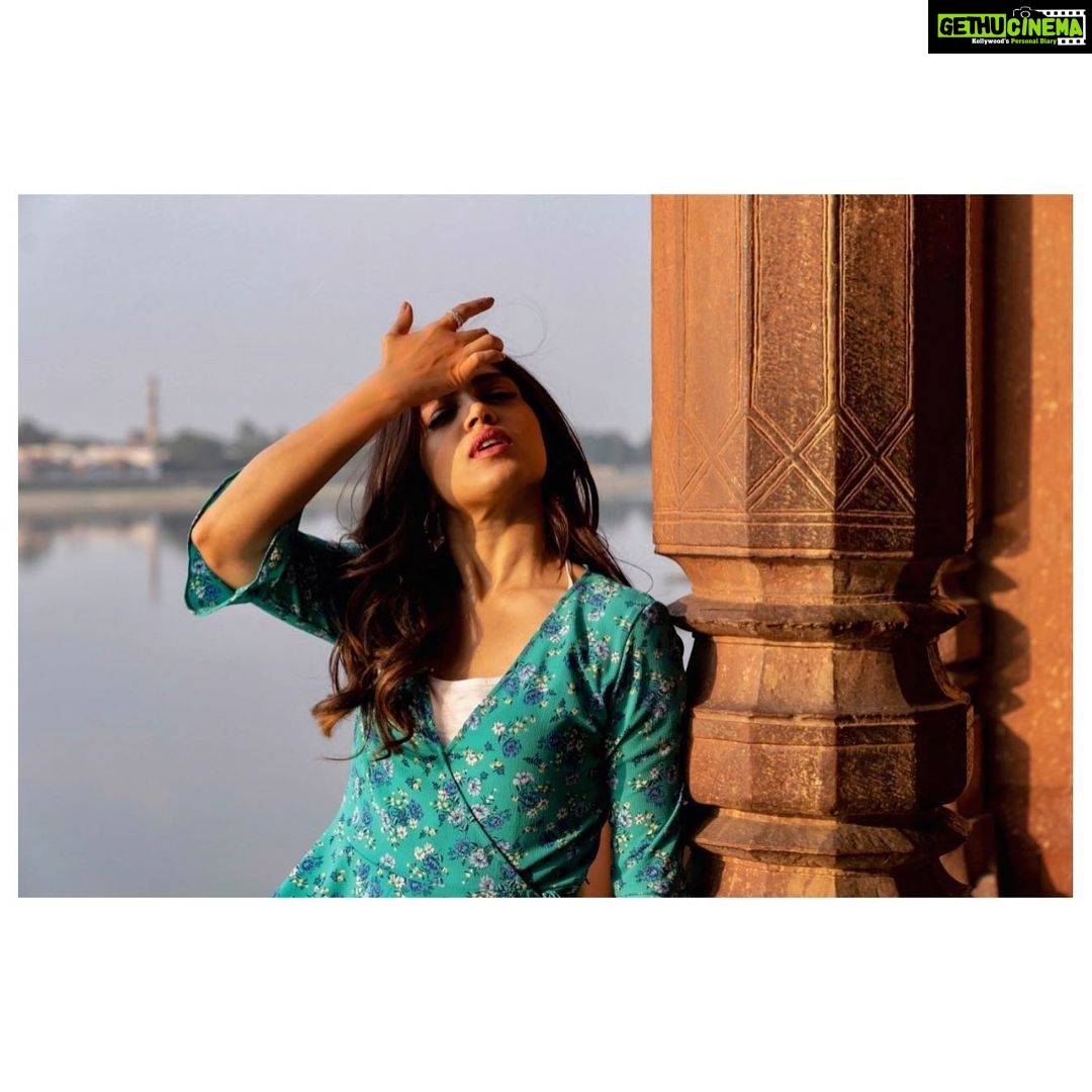 Bhumi Pednekar Instagram - Kitty,thinking about her 1st cheque from Red Rose Romance App & how she will spend it 😌 . . . #dollykitty