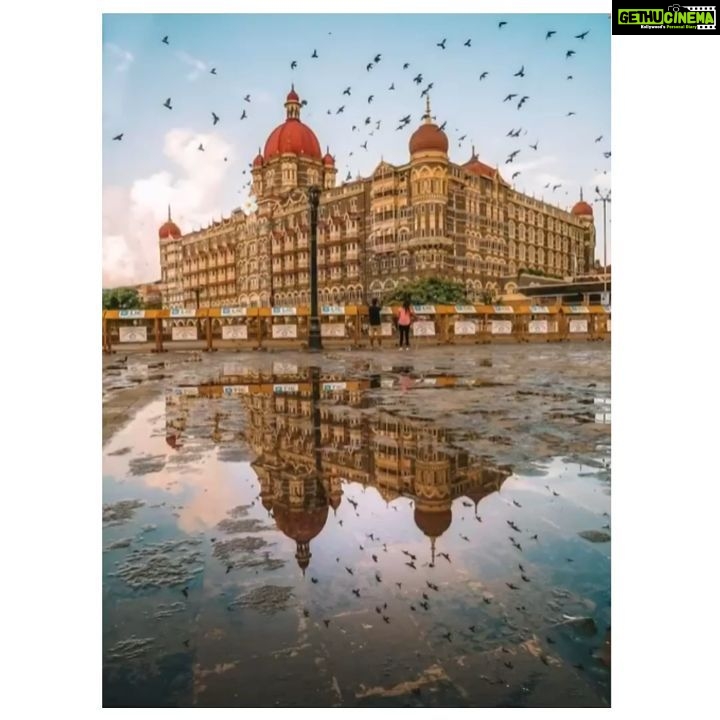 Bhumi Pednekar Instagram - Let it grow, let it breathe! Imagine a clean and green world where we all live together as one big happy family!! It’s important to protect what nature gives us! It’s time we make the switch to just about becoming environmentally conscious by changing our daily habits. P.S. ( Do this and it will make you happy and your surroundings even happier ) #WorldNatureConservationDay Creative Inspiration : @saim.gh