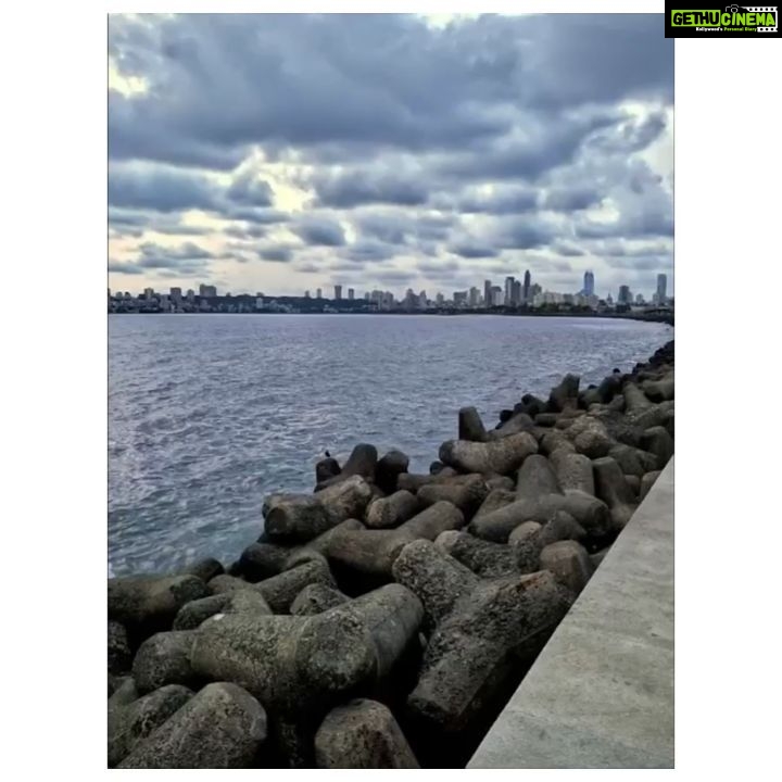 Bhumi Pednekar Instagram - Let it grow, let it breathe! Imagine a clean and green world where we all live together as one big happy family!! It’s important to protect what nature gives us! It’s time we make the switch to just about becoming environmentally conscious by changing our daily habits. P.S. ( Do this and it will make you happy and your surroundings even happier ) #WorldNatureConservationDay Creative Inspiration : @saim.gh