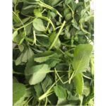 Bhumi Pednekar Instagram - After months of tender love & care,we present to you #PednekarKePed 🌱 #homegrown #GharKiKheti #sustainableliving The Pednekar's