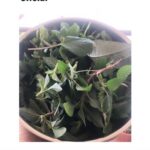 Bhumi Pednekar Instagram - After months of tender love & care,we present to you #PednekarKePed 🌱 #homegrown #GharKiKheti #sustainableliving The Pednekar's