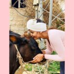 Chaitra Reddy Instagram - I would rather hear cows mooning roosters crowing than horns honking 🌸