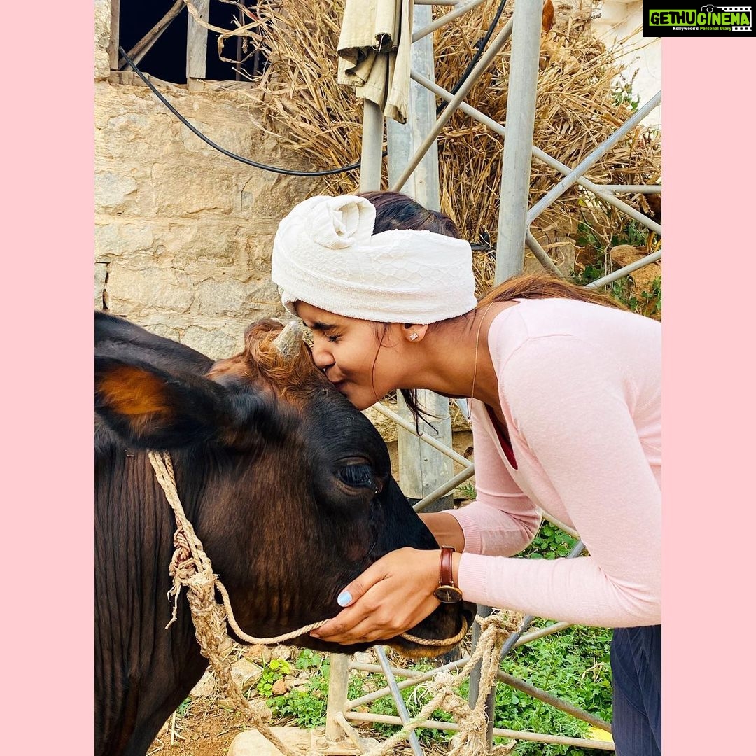 Chaitra Reddy Instagram - I would rather hear cows mooning roosters crowing than horns honking 🌸