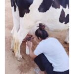 Chaitra Reddy Instagram - Quarantine got me like 😍 It wasn’t a easy job to do this , Namaskara(respect)to all the farmers 🙏🏻 they work so hard each day , for us to have a easy life here in the city ! Never bothered about How the weather is let be sun ,rain or extreme cold - for them daily routine must continue-come what may ! I’m proud to say that my grand parents are farmers and they still follow to do the same 🥰 #respect #farmersdaughter #quarantinelife