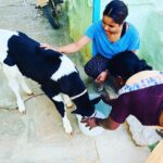Chaitra Reddy Instagram - How much I enjoyed being at my native after a very long time 🥰 thank you universe for these holidays ❤️#quarantinelife #calf#feedingtime