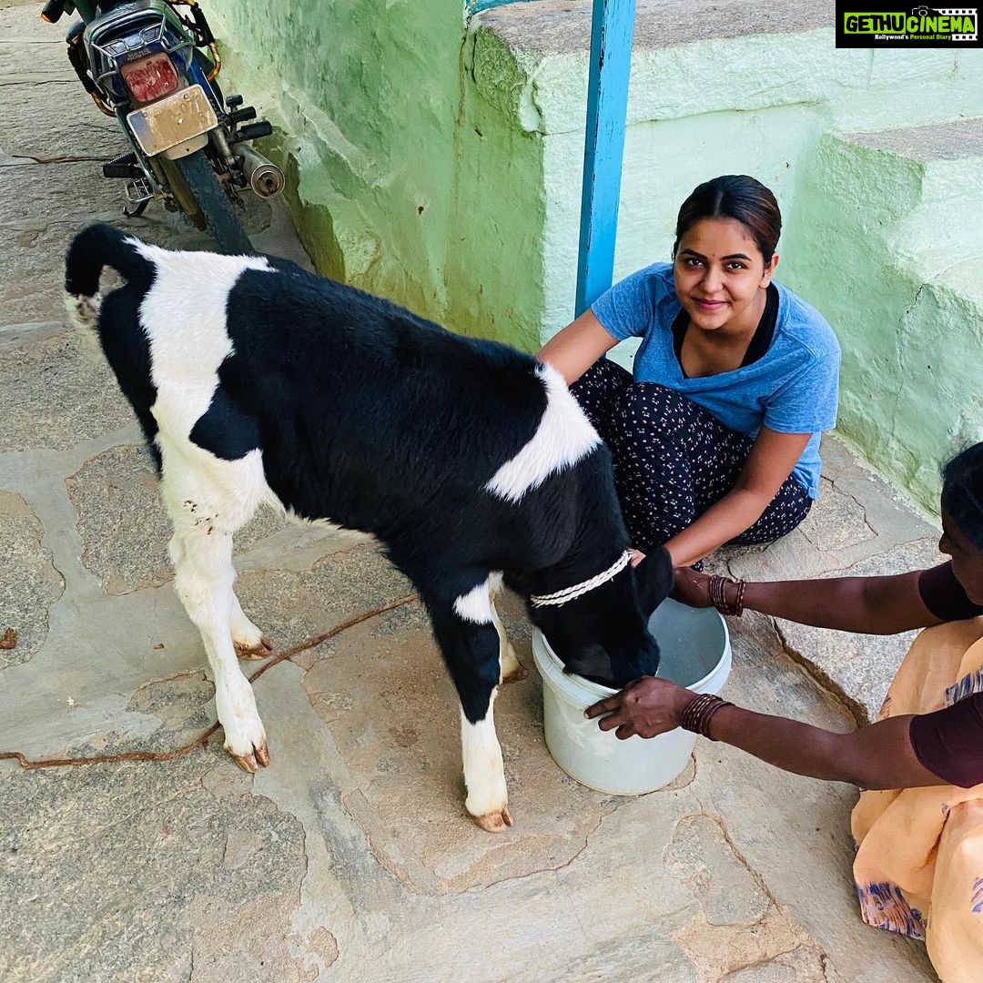 Chaitra Reddy Instagram - How much I enjoyed being at my native after a very long time 🥰 thank you universe for these holidays ❤️#quarantinelife #calf#feedingtime