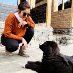 Chaitra Reddy Instagram - Conversations with Billu was Nothing cuz I’m scared of dogs 🙈😂 But one of the nicest dogs I have Eva come across ❤️ He was following us everywhere the mountain we trek ❤️ @singing_woods_camps Photography : @rakeshsnarayan ❤️