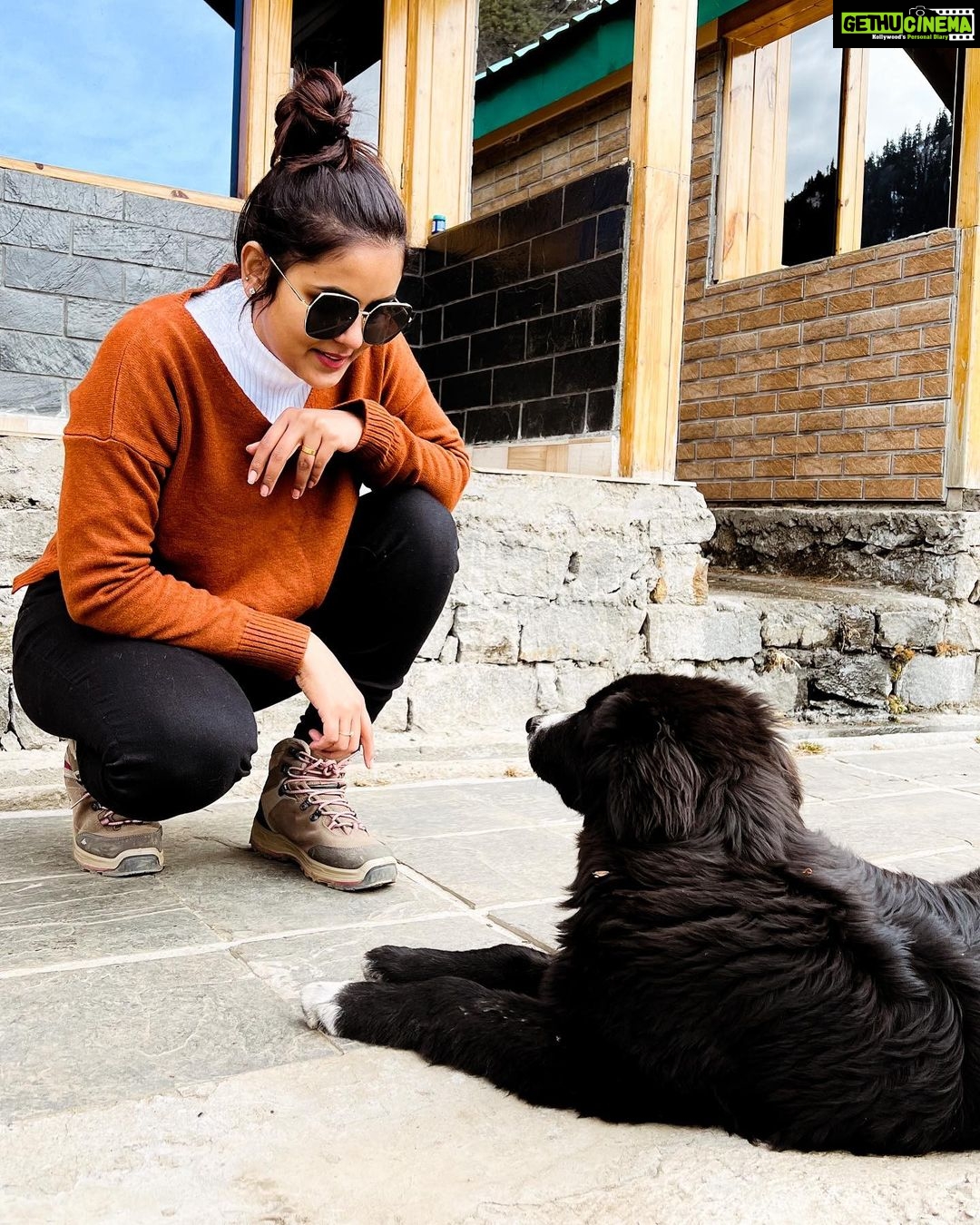 Chaitra Reddy Instagram - Conversations with Billu was Nothing cuz I’m scared of dogs 🙈😂 But one of the nicest dogs I have Eva come across ❤️ He was following us everywhere the mountain we trek ❤️ @singing_woods_camps Photography : @rakeshsnarayan ❤️
