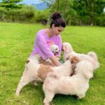 Daisy Shah Instagram - How much love is too much love??? I seem to can’t get enough of this 😍❤️ @phoebesfarm . . . #surroundedbylove #furbabies #livelovelaugh #daisyshah