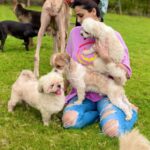 Daisy Shah Instagram - How much love is too much love??? I seem to can’t get enough of this 😍❤️ @phoebesfarm . . . #surroundedbylove #furbabies #livelovelaugh #daisyshah