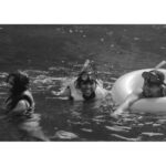 Darshana Rajendran Instagram – “Promise me that we’ll go back to the beach for our next trip also?” .

Phi Phi Island and Krabi with my water babies :)