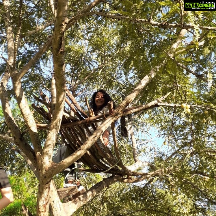 Darshana Rajendran Instagram - #repost @farm_gracelandecowarriors __ Little D up on a tree. @darshanarajendran . . . #trees #climbingtrees #machan #treemachan #treetops #treehouse #farmlife #girlsoutdoors #theoutdoorlife #farmstay #southindiatravel #southindiafarms #indiatravel #farmhouse #lifeoutdoors #indiafarms #gooseberrytrees #amlatrees