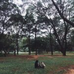 Darshana Rajendran Instagram – Windsor and I became friends today.