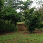 Darshana Rajendran Instagram –  Infinite Souls Farm and Artists Retreat