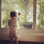 Dia Mirza Instagram - Our little master has been busy acquiring new skills. So happy to be back home ❤️🐯🧿 @vaibhav.rekhi Bandra World of Storytellers