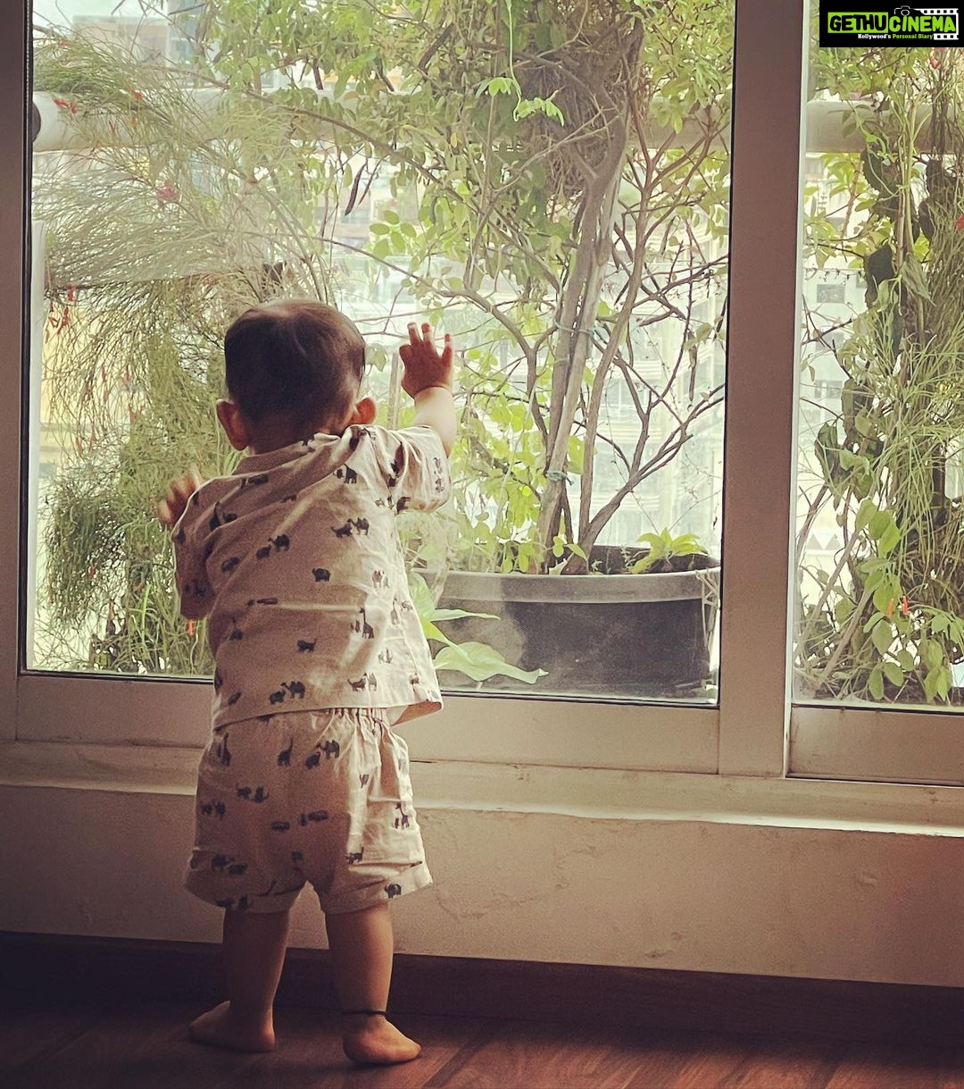 Dia Mirza Instagram - Our little master has been busy acquiring new skills. So happy to be back home ❤️🐯🧿 @vaibhav.rekhi Bandra World of Storytellers