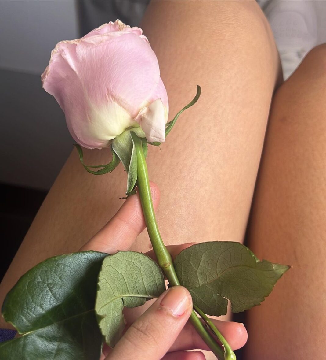 Disha Patani Instagram - 🌸