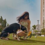 Erica Fernandes Instagram – While I decided to play dress up and click some pics this little boy had a plan of his own,
(Swipe left to see)
he decides to photobomb, must say very well trained by champ.

Dress by @shein_ar 

#summerfashion #summerdress #instafashion #casualfashion #shein #sheindress