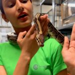 Erica Fernandes Instagram - Beauty and the beast... now guess who’s the beauty and who’s the beast. 🤷‍♀️🐍 #wildlife #adrenaline #naturelover #loveforthewild #snakes #traveler
