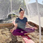 Evelyn Sharma Instagram - Thinking of it… I wouldn’t mind being a seedling in this veggie patch. 🌱 #happyplace #gardening #veggiepatch #downunder #evelynsharma #meditation #gardenmeditation
