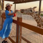 Hina Khan Instagram - Spreading love and smiles🦒🦒 @alainzoouae @visitabudhabi #HKInAbuDhabi . . . . . 👗 @forevernew_india 💎@ishhaara 👠 @londonrag_in