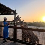 Hina Khan Instagram - Spreading love and smiles🦒🦒 @alainzoouae @visitabudhabi #HKInAbuDhabi . . . . . 👗 @forevernew_india 💎@ishhaara 👠 @londonrag_in