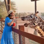 Hina Khan Instagram – Spreading love and smiles🦒🦒
@alainzoouae @visitabudhabi #HKInAbuDhabi
.
.
.
.
.
👗 @forevernew_india 
💎@ishhaara
👠 @londonrag_in