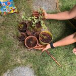 Ishika Singh Instagram - DIRTY HANDS HAPPY HEART ❤️ Tried propagation through cuttings …I don’t know if I will be successful or not but felt good getting my hands dirty and my little one becomes my helping hands by playing with water and creating mess@lolz #garden #gardening #gardenlove #gardenlovers #gardener #gardenplants #gardenplants #gardener #homegardening #gardenlove #homegarden #propagationsucculents #propagationplants #cuttingplants #plantlove #snakeplantpropagation #snakeplant #dnakeplant #snakeplants #indoorplants #plantsdecor #plantlove #plantlife #plantaddict #gardenaddict #hobby #hobbyhobby #meditation #plantsforpeace #gardeningproblems #handsdirty #dirtyhandshappyheart