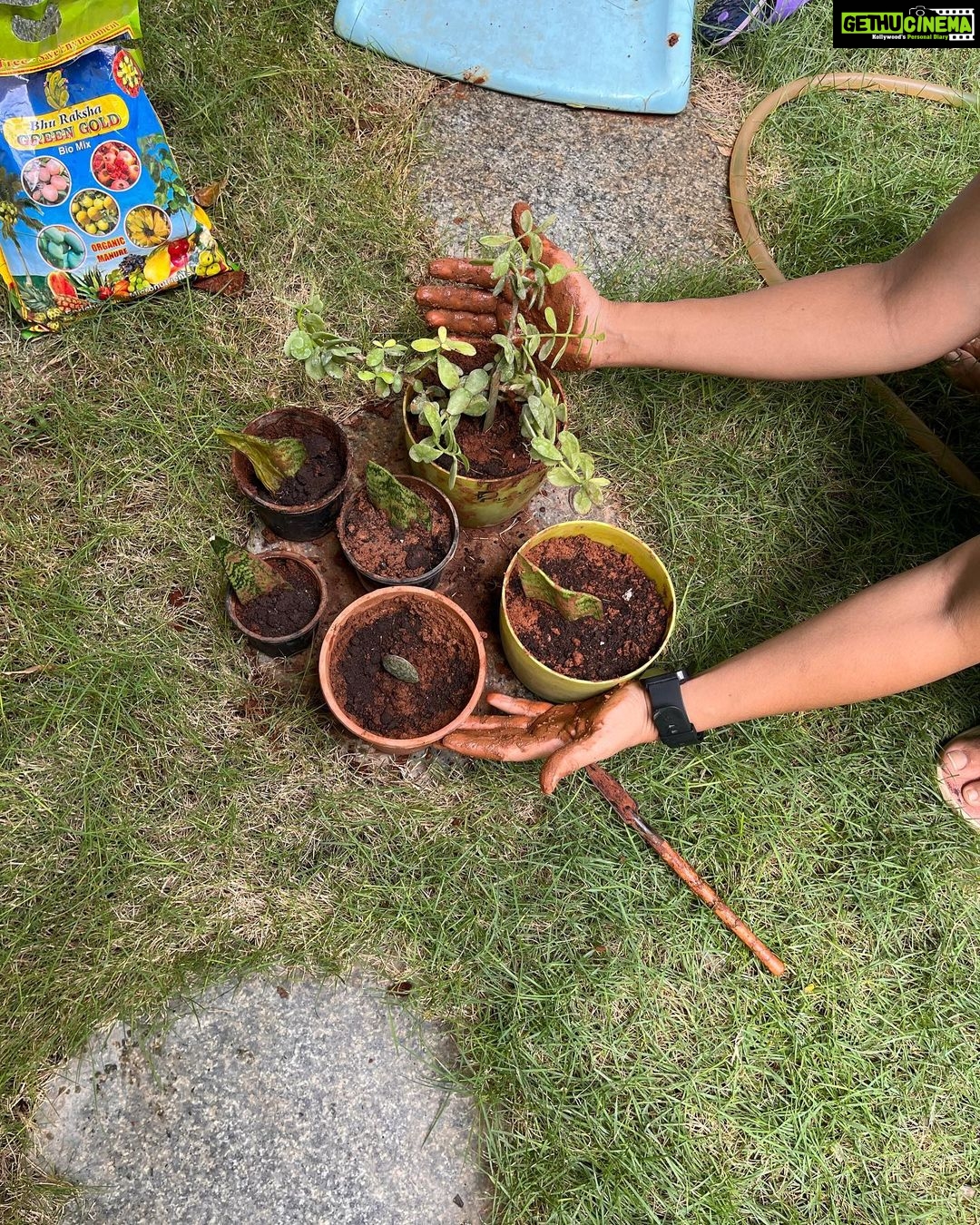 Ishika Singh Instagram - DIRTY HANDS HAPPY HEART ❤️ Tried propagation through cuttings …I don’t know if I will be successful or not but felt good getting my hands dirty and my little one becomes my helping hands by playing with water and creating mess@lolz #garden #gardening #gardenlove #gardenlovers #gardener #gardenplants #gardenplants #gardener #homegardening #gardenlove #homegarden #propagationsucculents #propagationplants #cuttingplants #plantlove #snakeplantpropagation #snakeplant #dnakeplant #snakeplants #indoorplants #plantsdecor #plantlove #plantlife #plantaddict #gardenaddict #hobby #hobbyhobby #meditation #plantsforpeace #gardeningproblems #handsdirty #dirtyhandshappyheart
