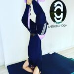 Jackky Bhagnani Instagram - Happy #internationalyogaday and thank you @anshukayoga for introducing me to YOGA and also yoga will be special for another very important reason which turned my world upside down just like the picture 😁😁😁