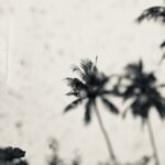 Jayam Ravi Instagram - Nature is natural 🌴 my click