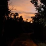 Joy Crizildaa Instagram – Walk as if you are kissing the earth with your feet ❤️

Just keep walking ❤️

#travelgram #offroading #nature #skyispink