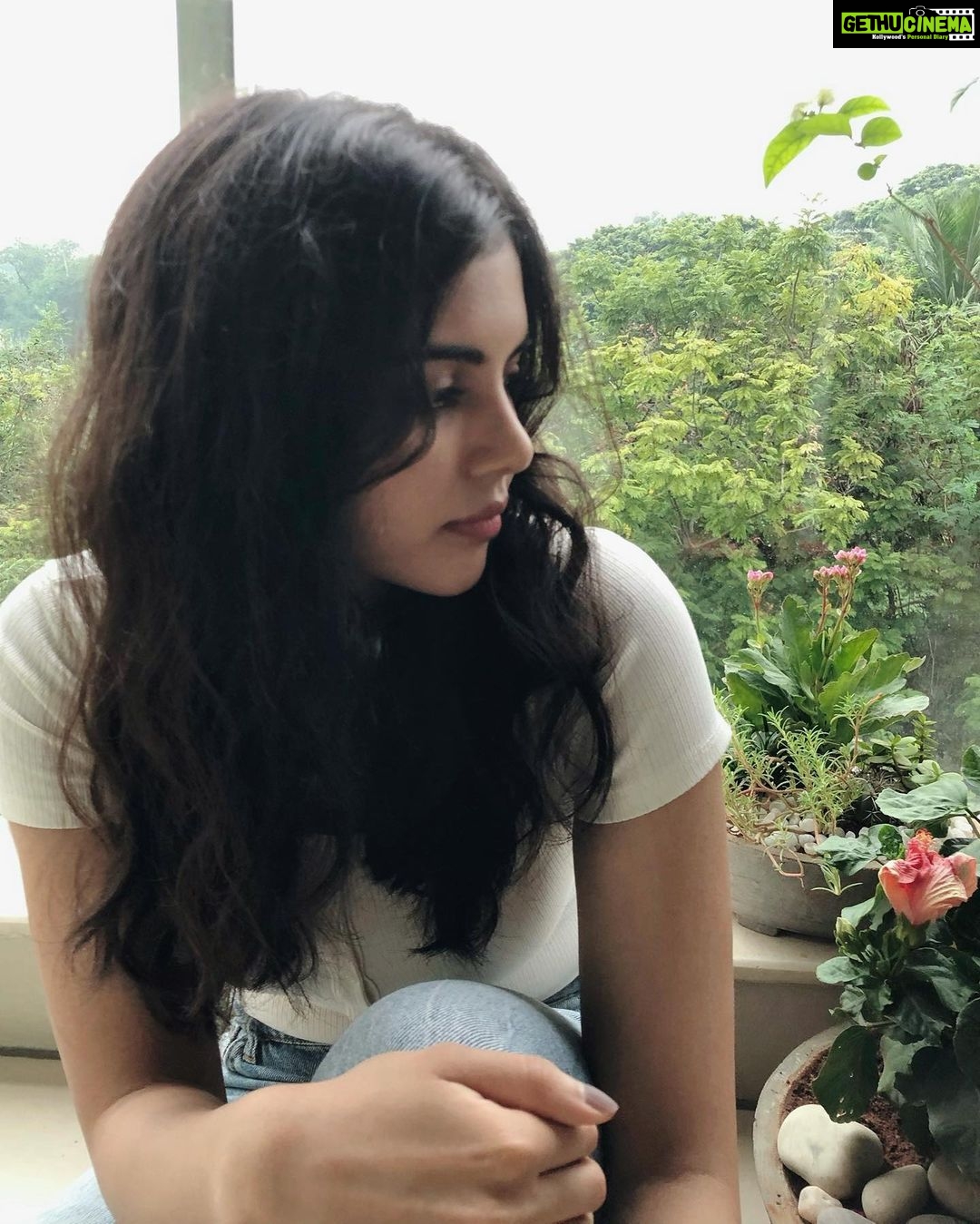 Kalyani Priyadarshan Instagram - New friend, because I can’t meet the old ones for a while. 🌺