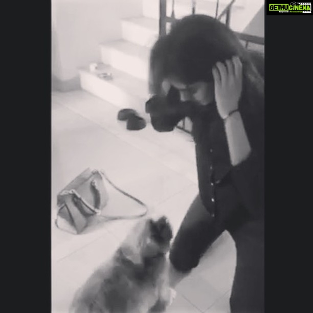 Kalyani Priyadarshan Instagram - Nothing beats the feeling of coming home to this guy after a hectic shoot schedule π©π»βοΈ-->πΆβ€οΈπ€ #messyhairdontcare #truelove #atleastwaituntilisitdown Chennai City, Tamil Nadu