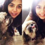 Kalyani Priyadarshan Instagram - He comes as if to kiss me but then turns and sticks his tongue out teasingly- This is Theo Priyadarsan. He is the love of my life. And he nails the 😝 emoji. #puppykisses #dogstagram #poser #emojiface