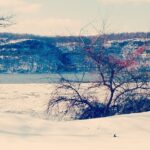 Kalyani Priyadarshan Instagram - Our site is pretty #hudsonview Dobbs Ferry, New York