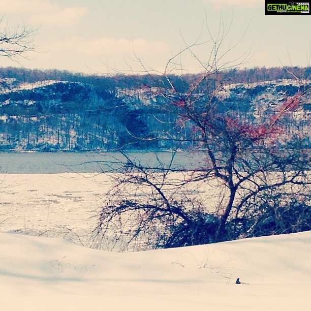 Kalyani Priyadarshan Instagram - Our site is pretty #hudsonview Dobbs Ferry, New York