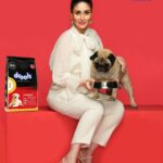 Kareena Kapoor Instagram - Anything is pawsible when I have my Leo by my side 🤎✨... yes, shooting counts too (as you can see) 😛 If you too are looking for the right feed for your dog, then Drools Adult Nutrition is just what you need. Made with 100% real chicken and eggs with no fillers or by products, this is sure to give your pet their daily intake of nutrition. So choose wise, choose @droolsindia 🐾 Drools - Feed Real, Feed Clean! #DroolsIndia #CleanNutrition #PetLovers #PetParents #DogFood #DogMom #RealNutrition #PetHealth #PetFood #Ad