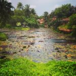 Kashish Singh Instagram – May I live like the lotus at
ease in the muddy water. #harekrishna #maadurgamyheartbeat💓 #thanksforyoursupport #thanksforeverything #thanksuniverse  #soproudofme #stillbetterthanmany #bellavitakashish 🧚🏻‍♀️🧚🏻‍♀️ South Goa