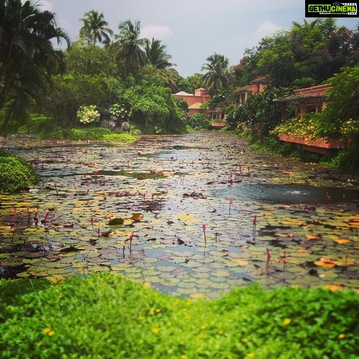 Kashish Singh Instagram - May I live like the lotus at ease in the muddy water. #harekrishna #maadurgamyheartbeat💓 #thanksforyoursupport #thanksforeverything #thanksuniverse #soproudofme #stillbetterthanmany #bellavitakashish 🧚🏻♀️🧚🏻♀️ South Goa