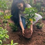 Krithi Shetty Instagram - Thank you sooo much Ravi garu @mythriofficial for nominating me for the #greenindiachallenge🌱 made me so happy because I loveee flowers so I planted 3 🙈 I would love to nominate whoever loved our song #neekannuneelisamudram to plant a sapling🤓🥰 @thisisdsp garu where’s yours??🤔