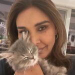 Lisa Ray Instagram - La Chatte. Implacable connector. 🐱