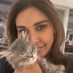 Lisa Ray Instagram – La Chatte.
Implacable connector.
🐱