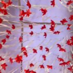 Ma Ka Pa Anand Instagram –