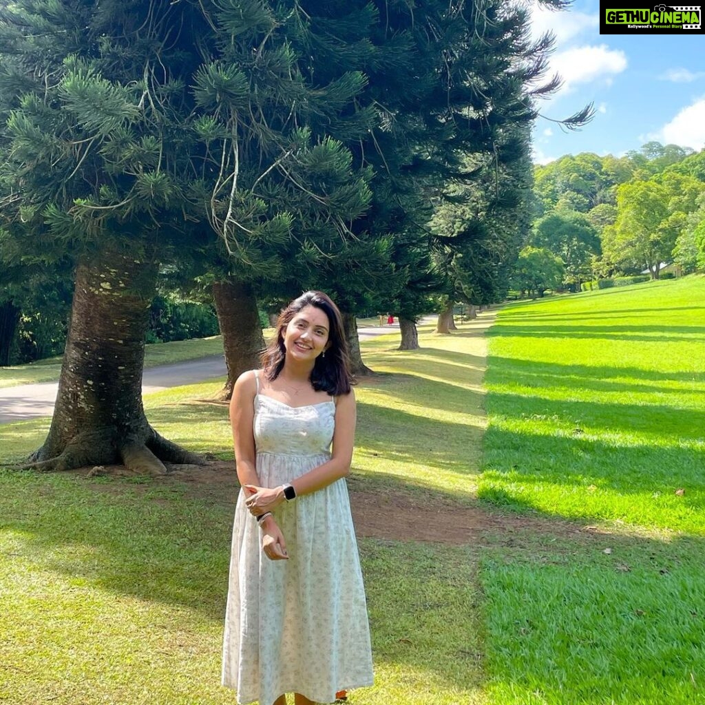 Mahima Nambiar Instagram - Srilanka ❤️ #beautiful #greenery #gentle #srilankatravel #srilanka Kandy,Sri Lanka ''දළදා මාලිගාවේ සිට''