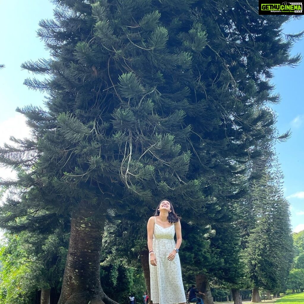 Mahima Nambiar Instagram - Srilanka ❤️ #beautiful #greenery #gentle #srilankatravel #srilanka Kandy,Sri Lanka ''දළදා මාලිගාවේ සිට''